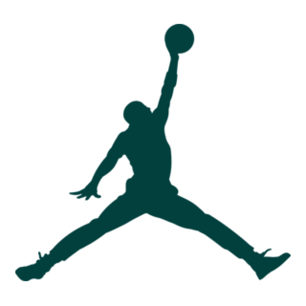 air-jordan-logo-png_seeklogo-289051
